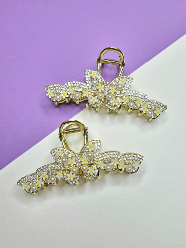 کلیپس مجلسی